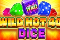 Wild Hot 40 Dice