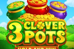 3 Clover Pots