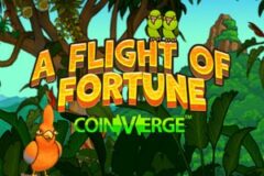 A Flight of Fortune