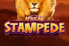 African Stampede