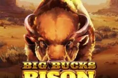 Big Bucks Bison 10k Ways