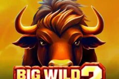 Big Wild Buffalo 2