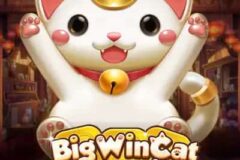 Big Win Cat Pawsperity