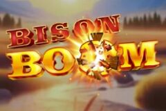 Bison Boom
