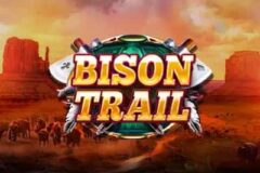 Bison Trail