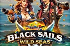 Black Sails Wild Seas
