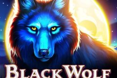 Black Wolf