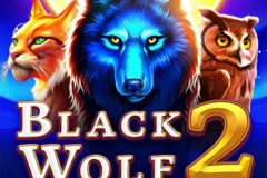 Black Wolf 2