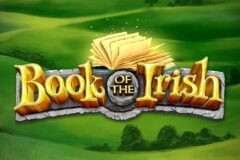 Book of the Irish