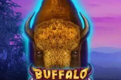 Buffalo Coin: Hold the Spin
