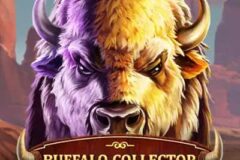 Buffalo Collector