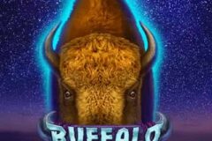 Buffalo Ice: Hold The Spin