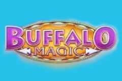 Buffalo Magic