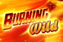 Burning Wild