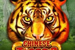 Chinese Tigers