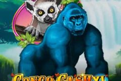 Congo Cash XL