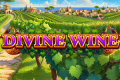 Divine Wine