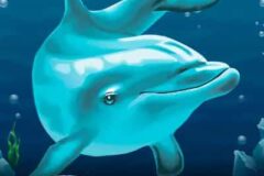 Dolphin’s Pearl