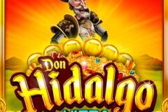 Don Hidalgo Ultra Link&Win