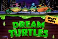 Dream Turtles