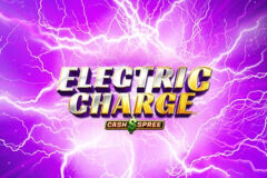 Electric Charge