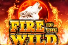 Fire of the Wild