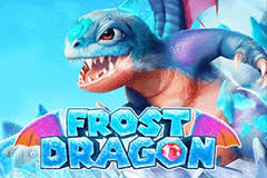 Frost Dragon