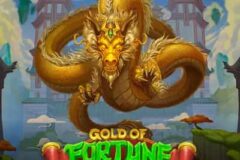 Gold of Fortune God