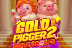 Gold Pigger 2 Royal Snouts