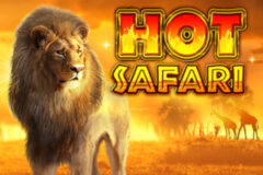 Hot Safari