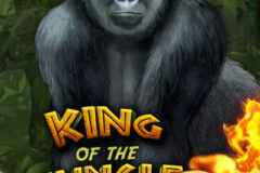 King of the Jungle – Red Hot Firepot