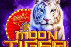 Moon Tiger