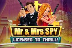 Mr & Mrs Spy