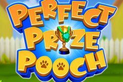 Perfect Prize Pooch