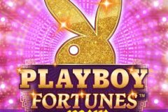 Playboy Fortunes King Millions