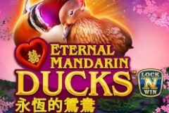 Power Prizes: Eternal Mandarin Ducks