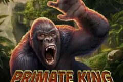 Primate King Megaways