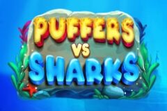 Puffers Vs Sharks
