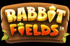 Rabbit Fields