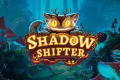 Shadow Shifter