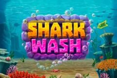 Shark Wash