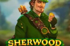 Sherwood Coins: Hold and Win