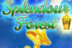 Splendour Forest