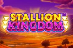 Stallion Kingdom