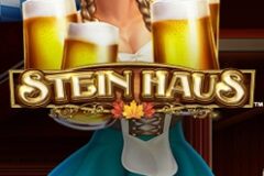 Stein Haus