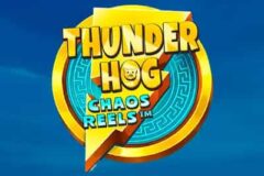 Thunder Hog Chaos Reels