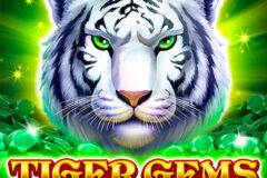 Tiger Gems