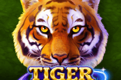 Tiger Stone