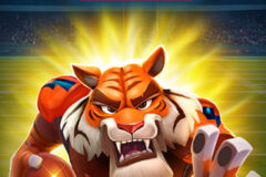 Touchdown Thunder: Hold and Win