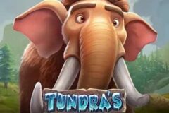 Tundras Fortune